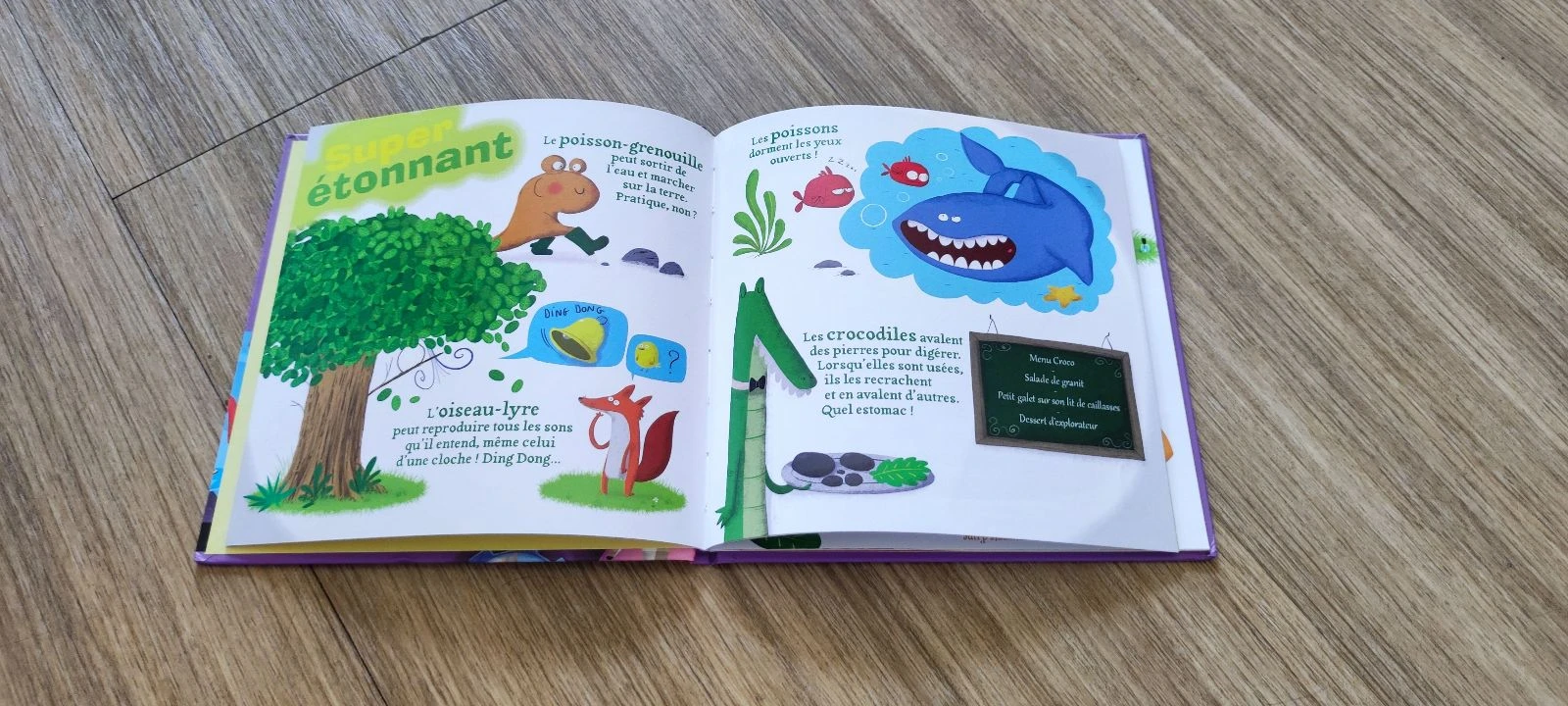 📚 Set van 3 boeken "Vragen/antwoorden" - Nathan 📚 – photo 8